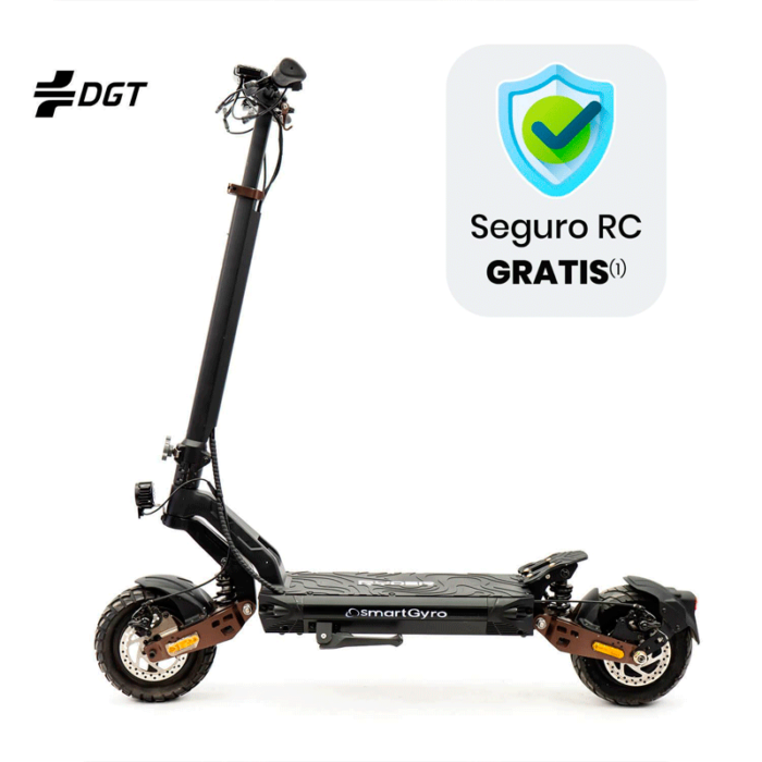 patinete smartgyro rayder